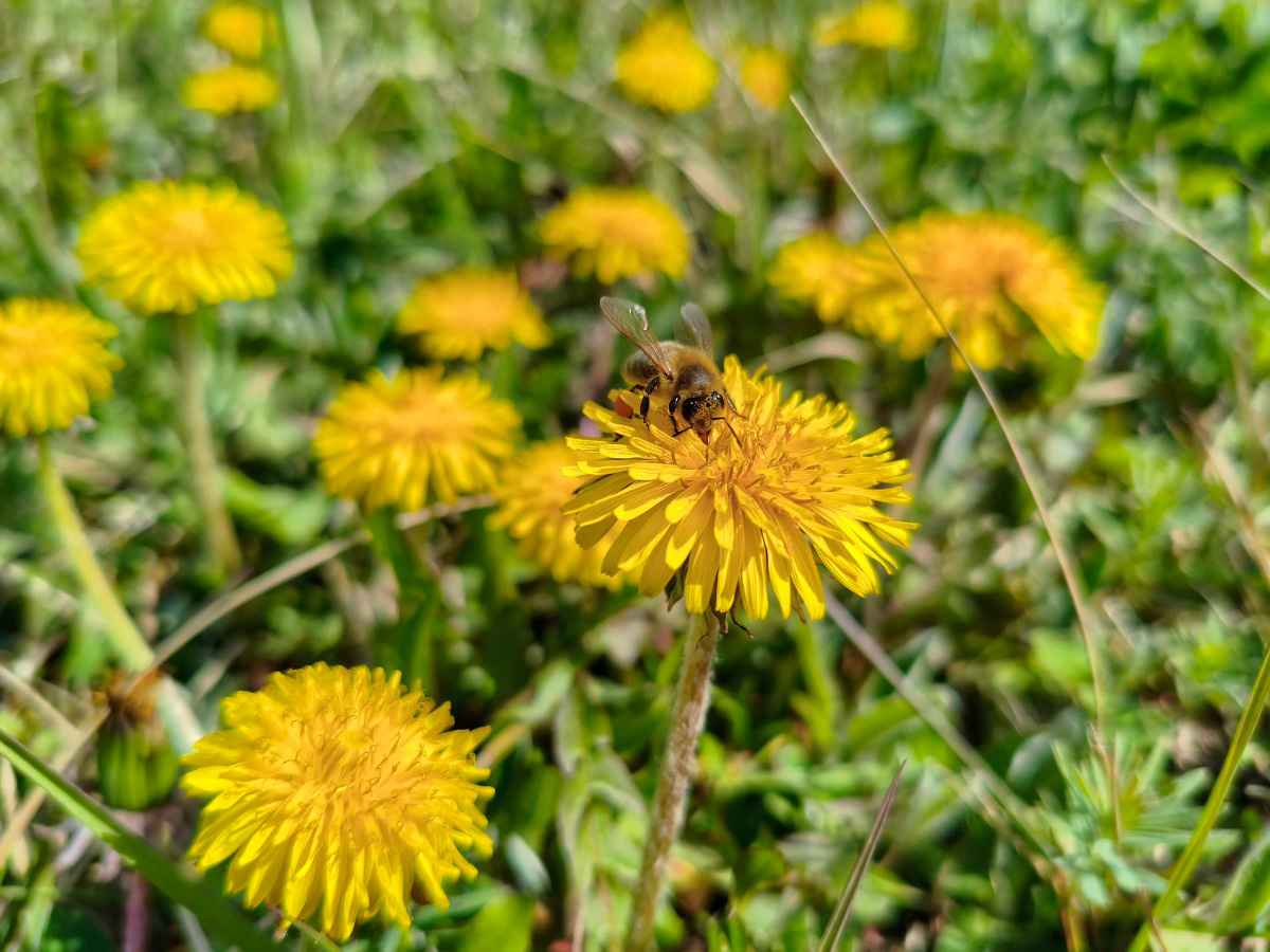 43d5e136-6121-4bef-a115-7cc81dc0dc7a