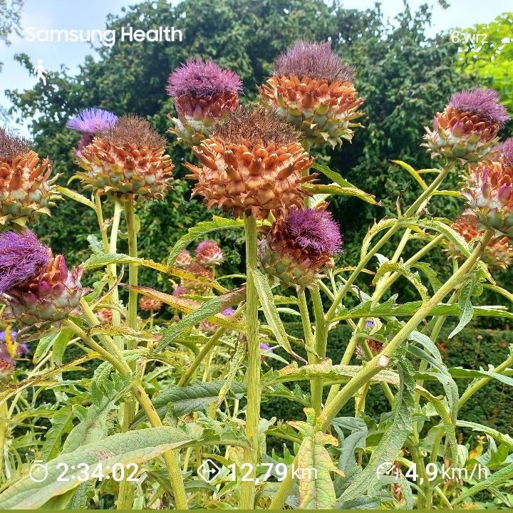 066b2e55-8511-4379-b39e-f5dc6e1ac35f