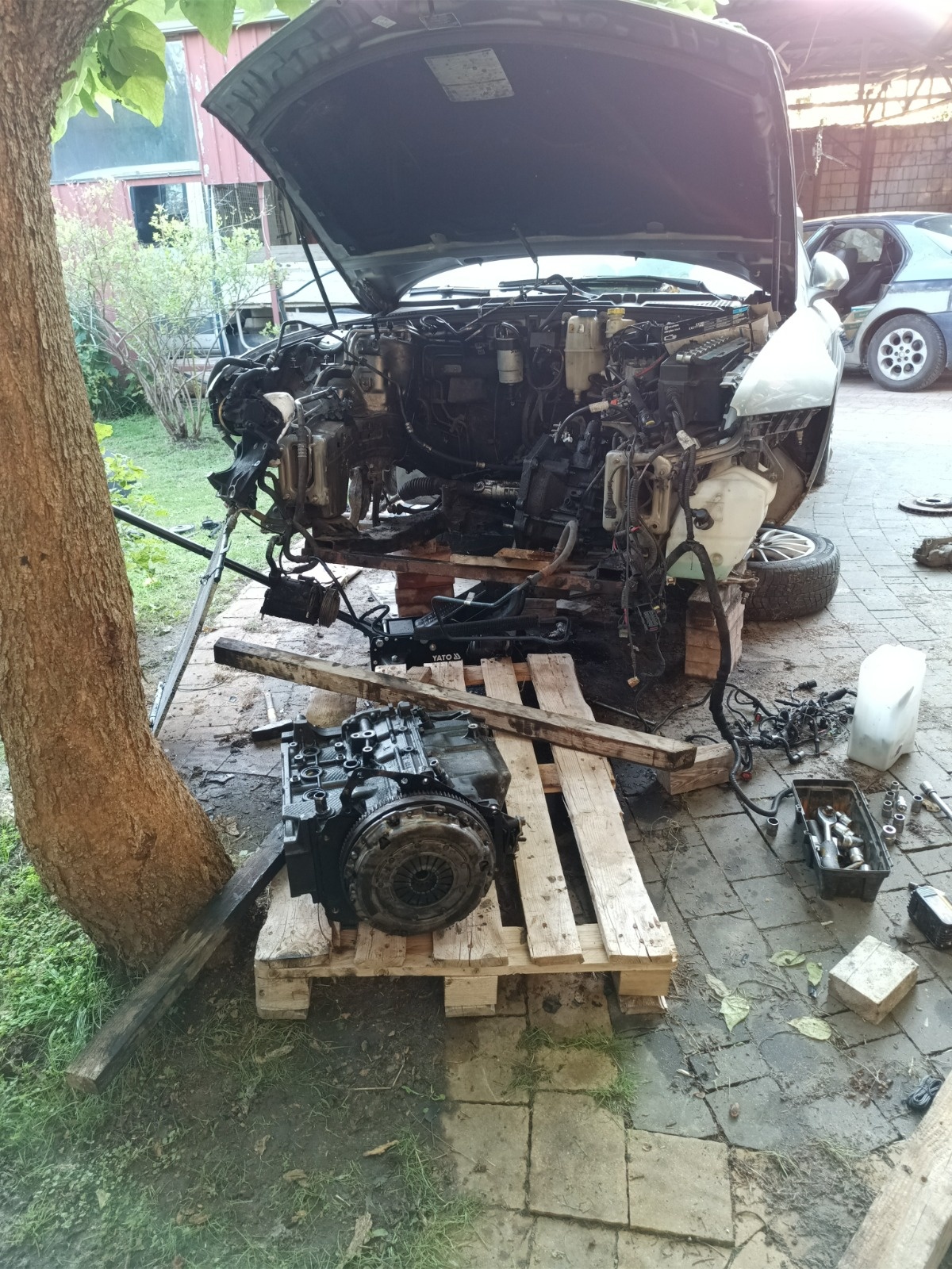 40428b27-a4f0-4149-b263-7fb589563e7c