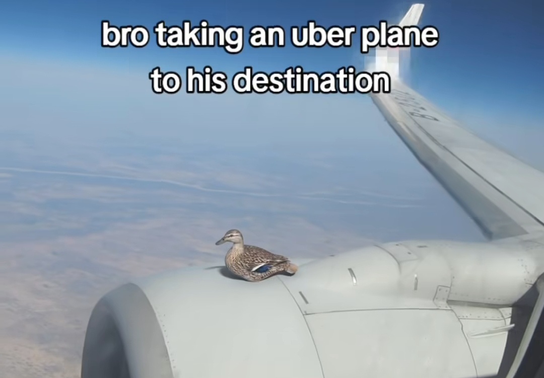 1e79c8f1-6707-4c7b-8585-ea8c4ce43842