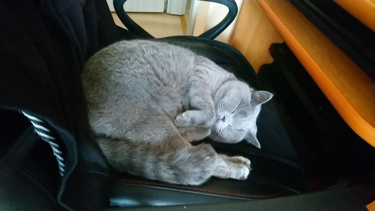 b342da14-4552-4b97-80a6-939eb81a9731