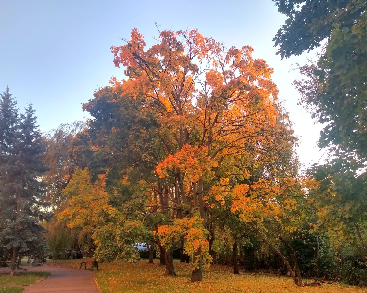 1ced3647-b18d-4902-b719-47de13e67427