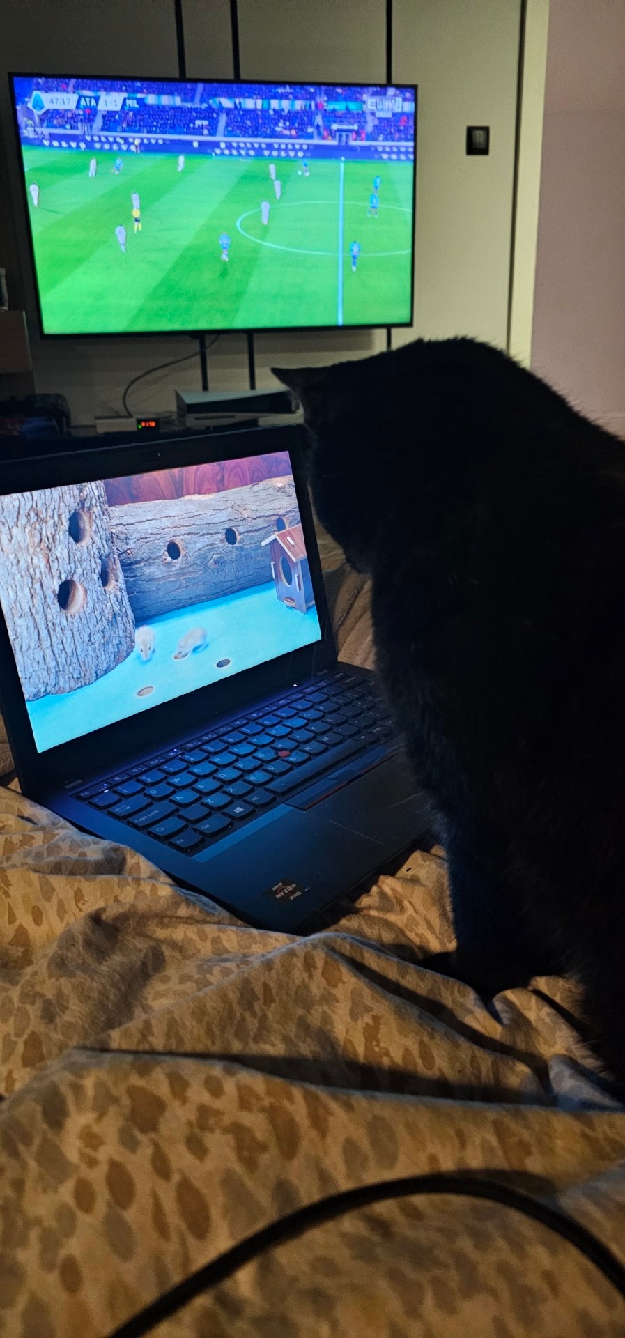 21c523f3-5b33-4dad-9e67-7ff5c35ec084