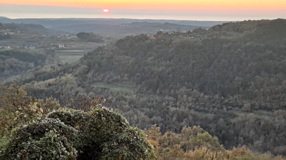 fcd3fd5a-9ebe-4975-b731-739d136f6d7a