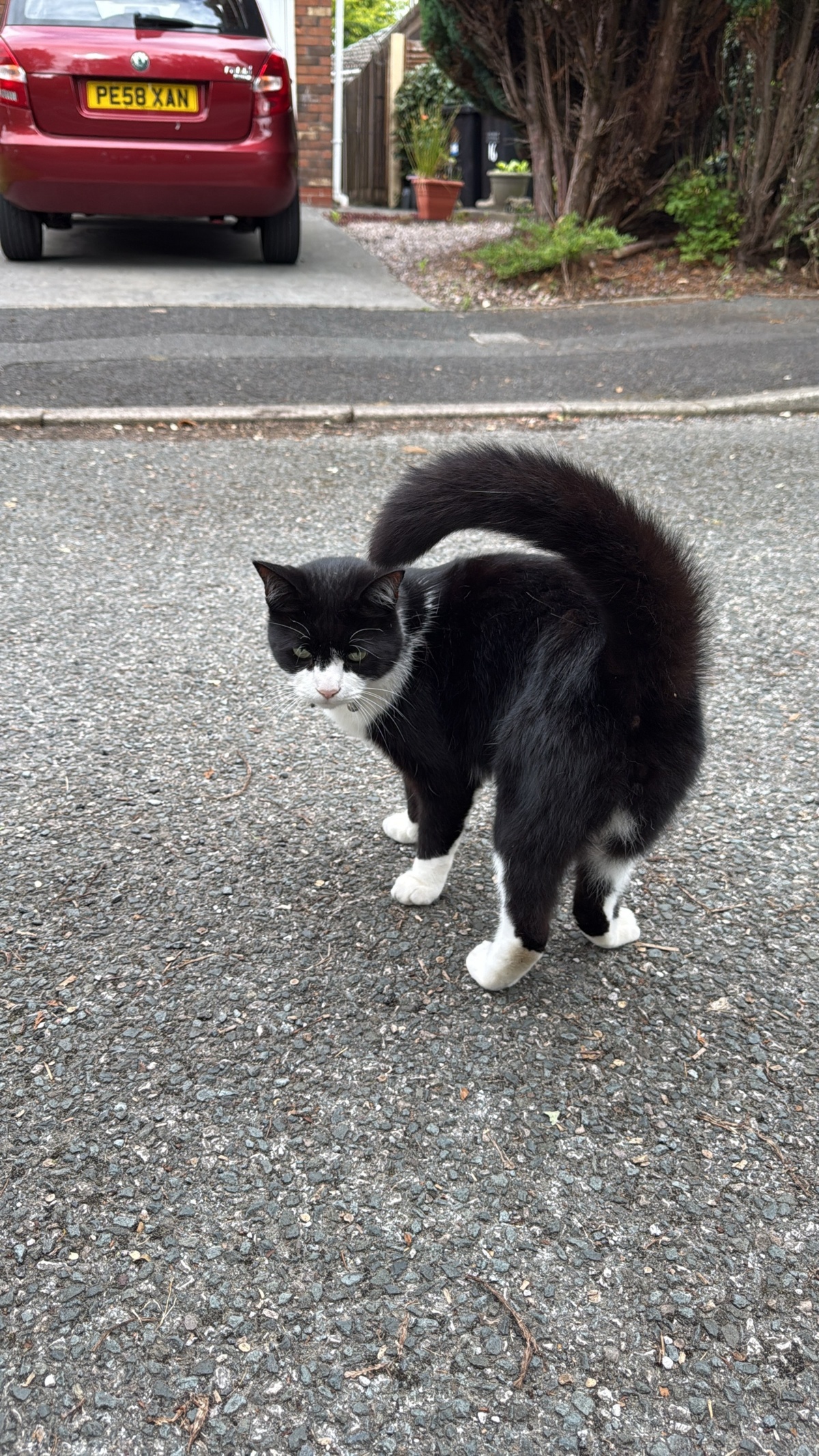 c181c77d-9c8f-4930-a04f-85c3ecdc2932