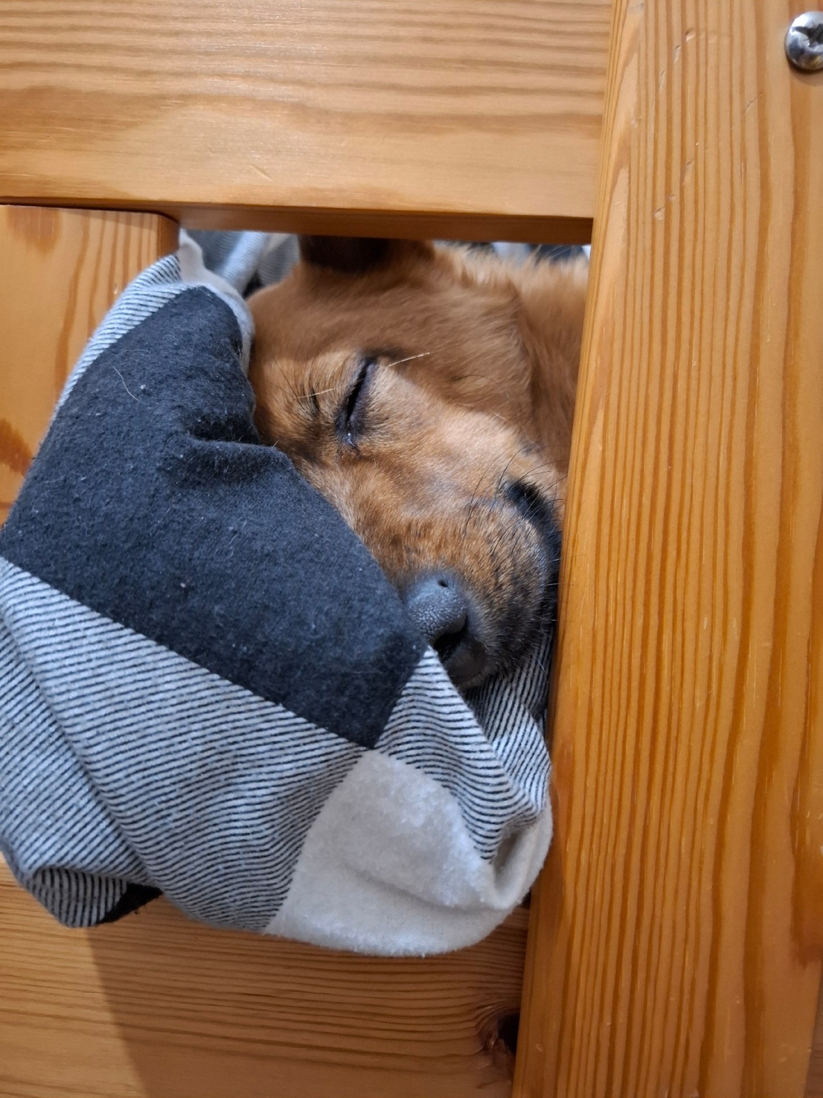 873897b9-9c11-4f6d-93f6-6a4421b31316