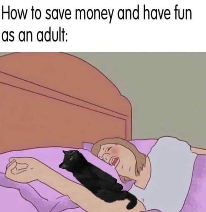 9d5dc311-c170-4047-8638-f3eecd8214c0