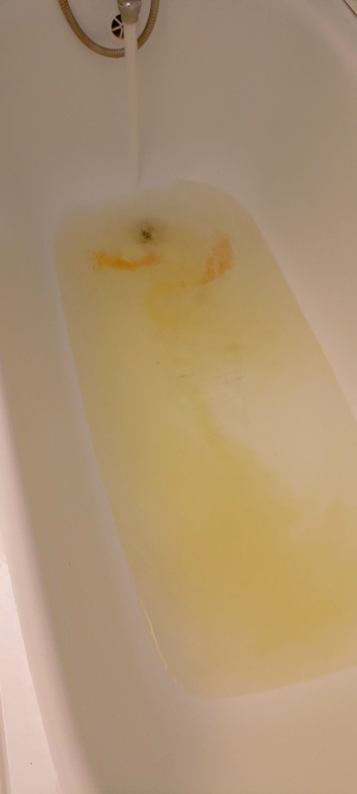 11d687d9-1f15-4592-8e28-5dacada9b884