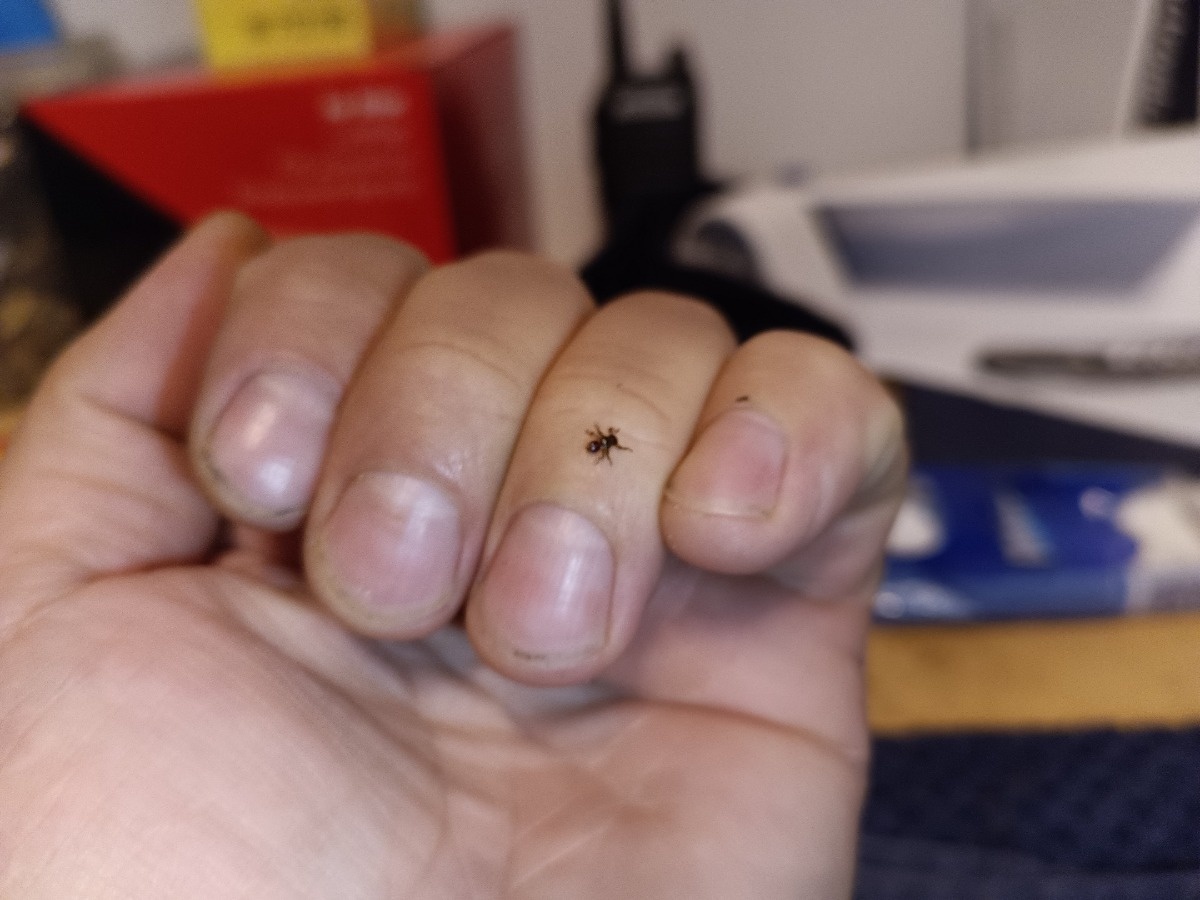 51c20f3c-5086-42e6-97aa-a93d81da8694