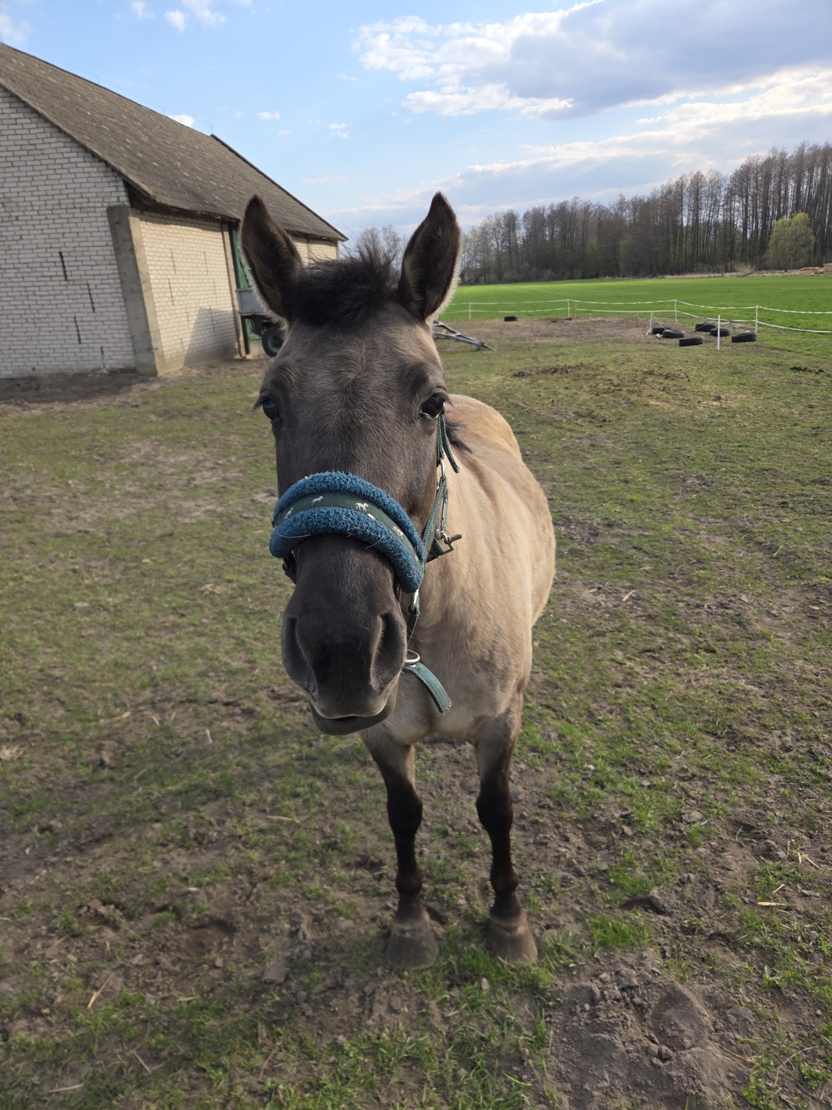 73da0aec-4430-453c-9370-233a0cd1f60b