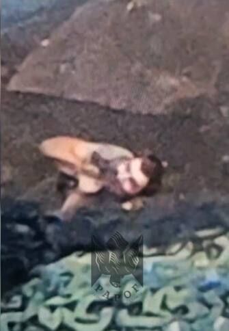 6c2e74e4-6dec-4720-9c73-a1bc9341366f