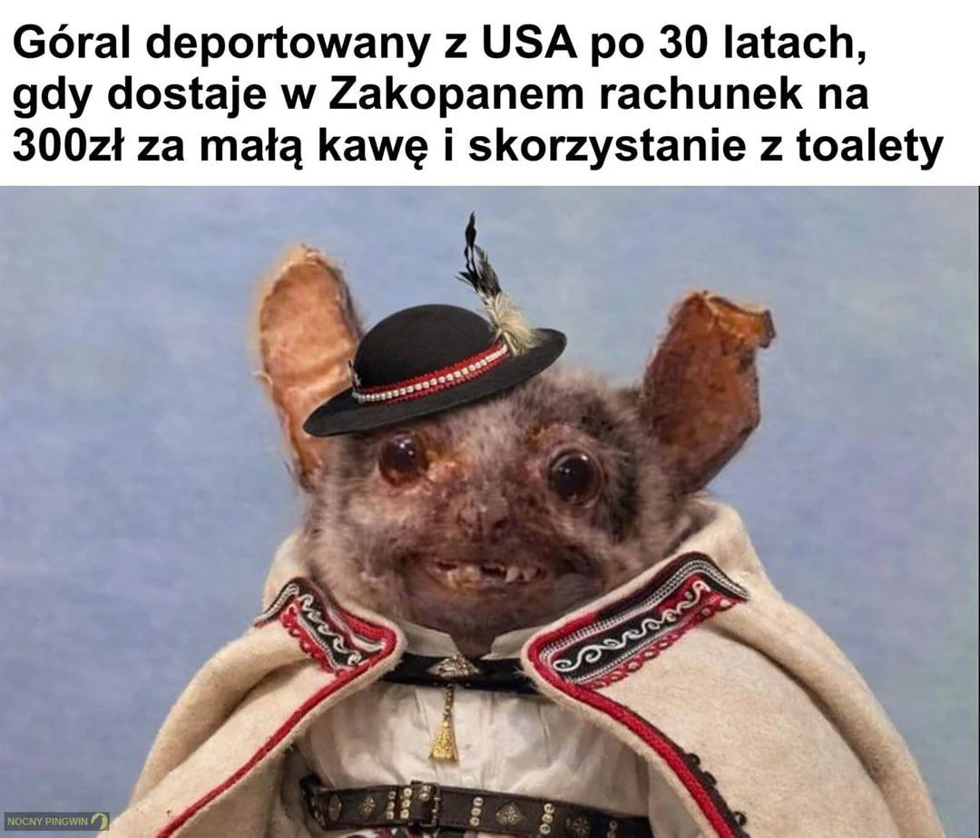 244da8f7-7065-402f-bb18-79db7d0274f7