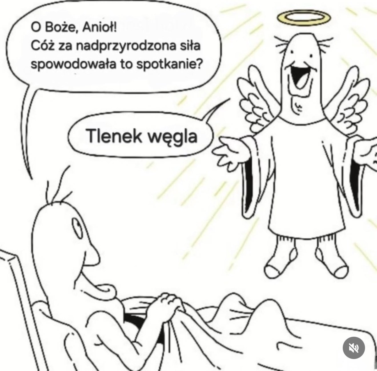 3e23f30a-2905-4d79-b6e1-fe440cdb0e25