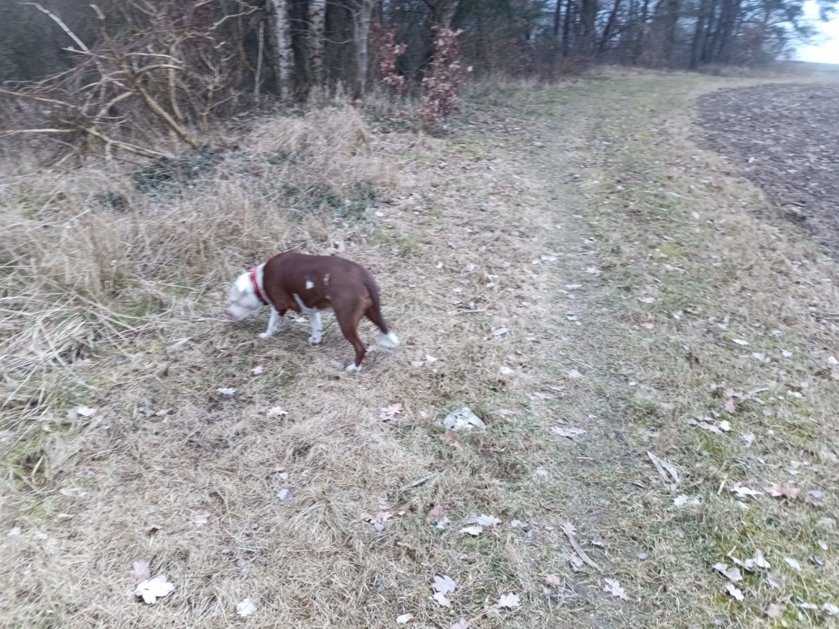 0709bfd4-676b-49d7-aefb-180694839fb1