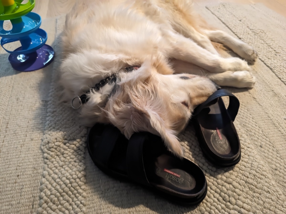 bd57172e-17ae-45db-a595-cf11b4afce7c