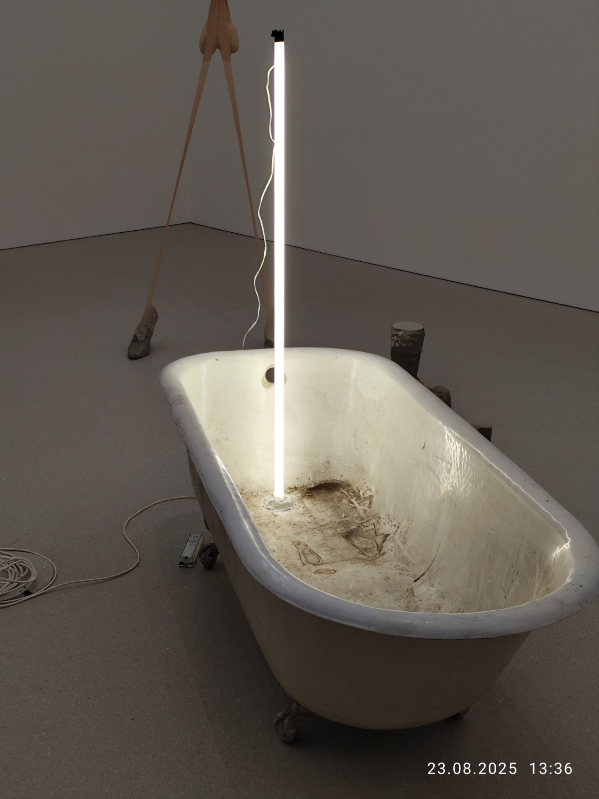 340284e7-9b28-4429-9c3c-b069639dd760