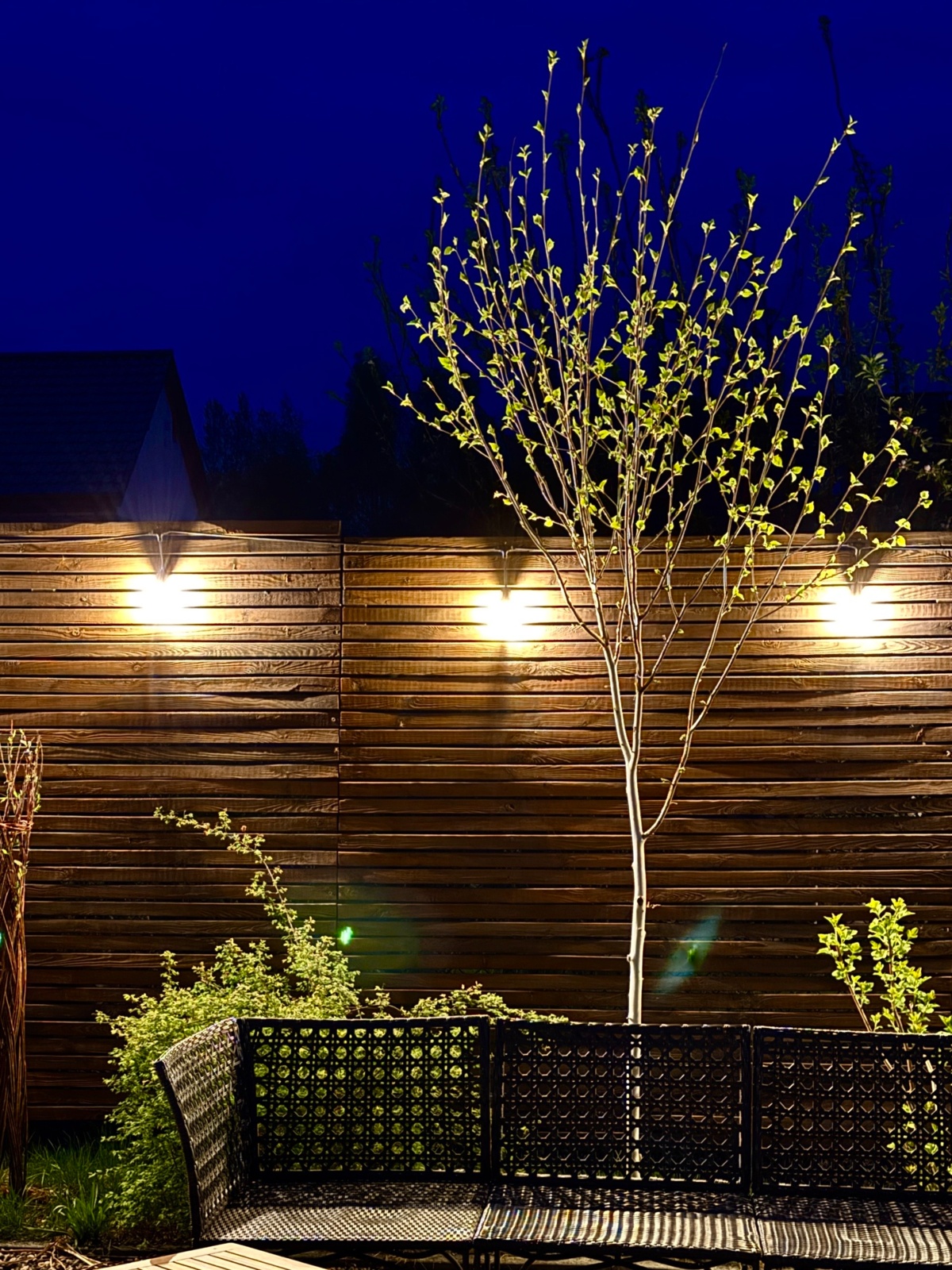 7bc5f153-48be-46fc-a2f1-cd16a79fbba4