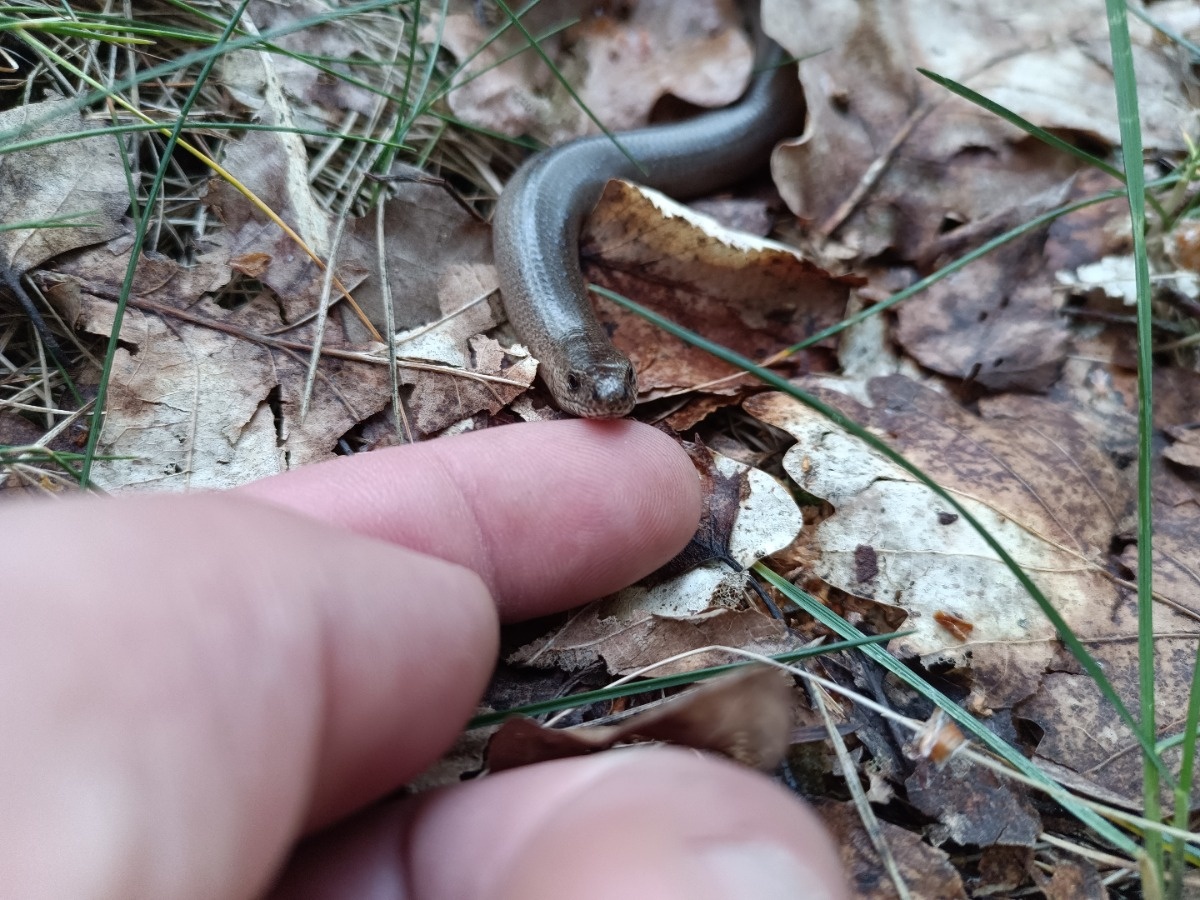 154ec5ea-7662-4a05-aad5-6559fb613279