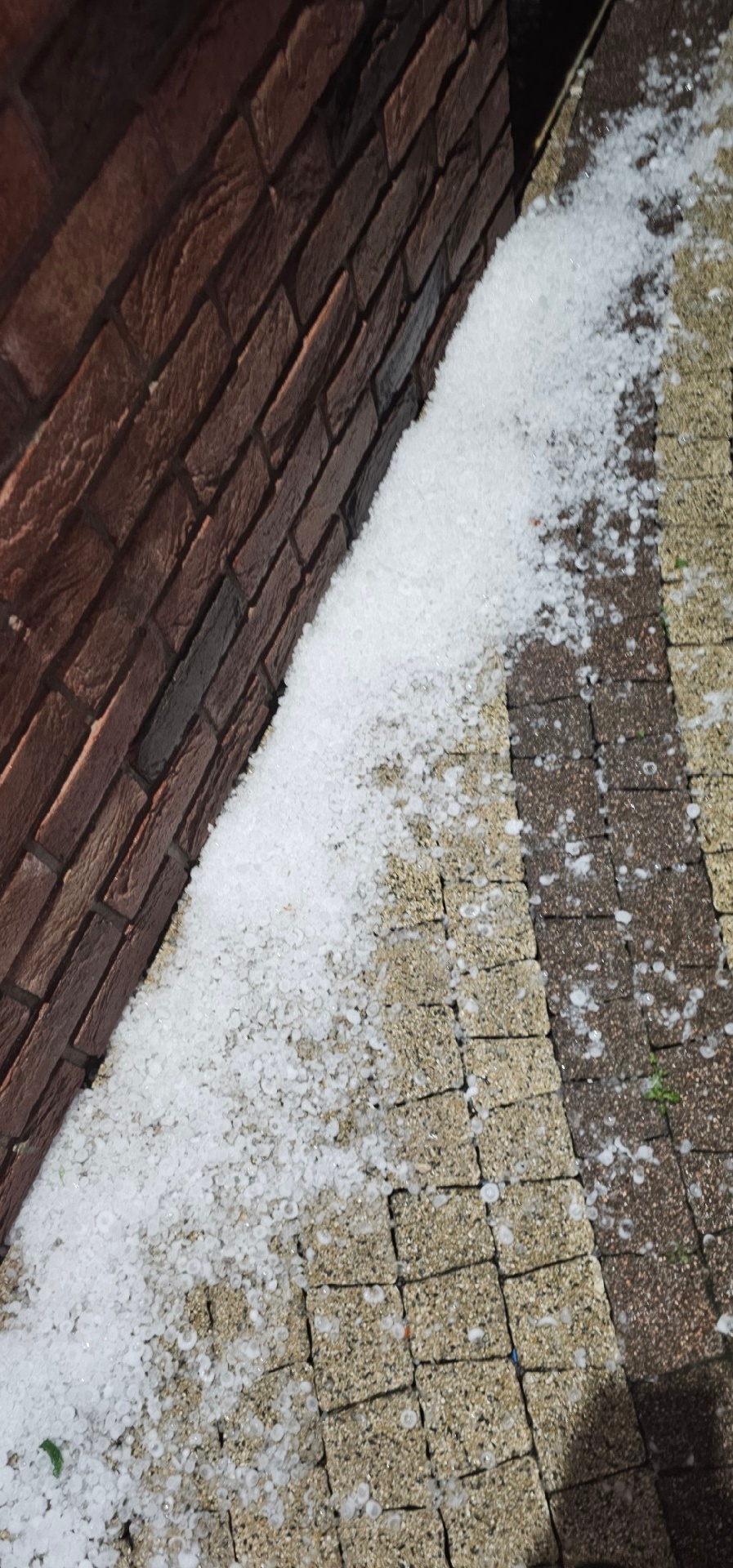 d2d2f5dc-d3c2-42c0-853e-a19d4db87759