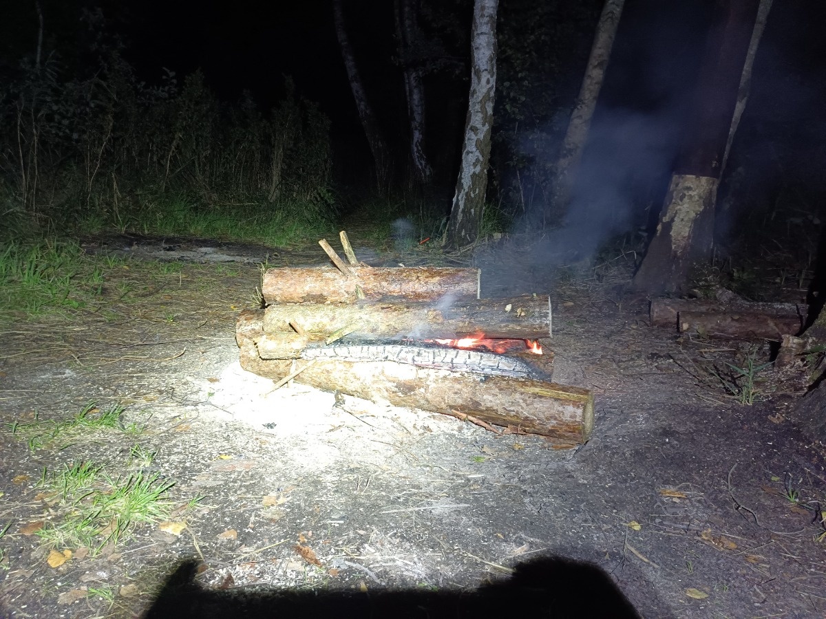 47dc5a2a-49bc-4a4a-80c4-255436cd2850