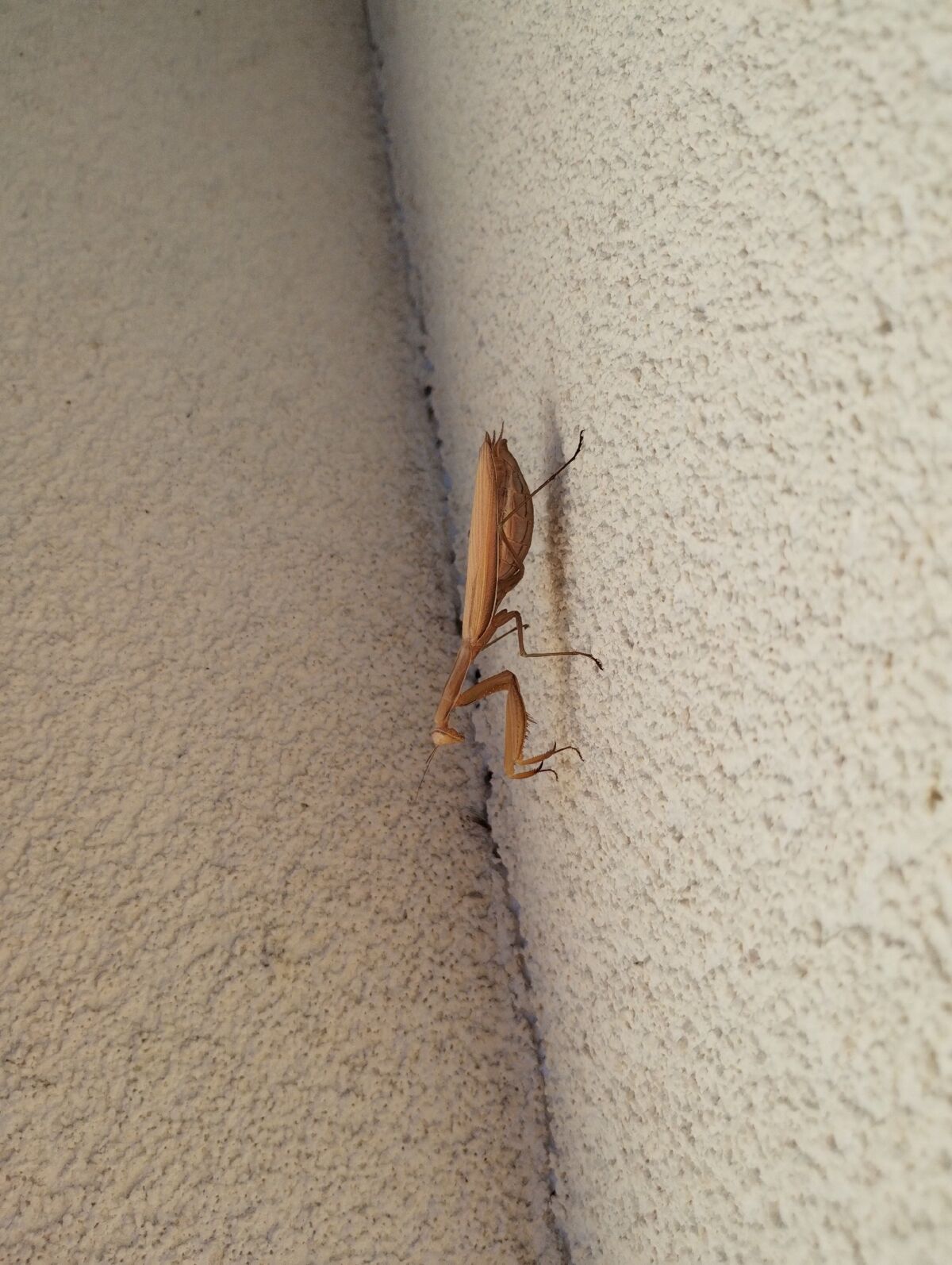 387def64-2da5-42f6-bd1f-f51ffd821b2a