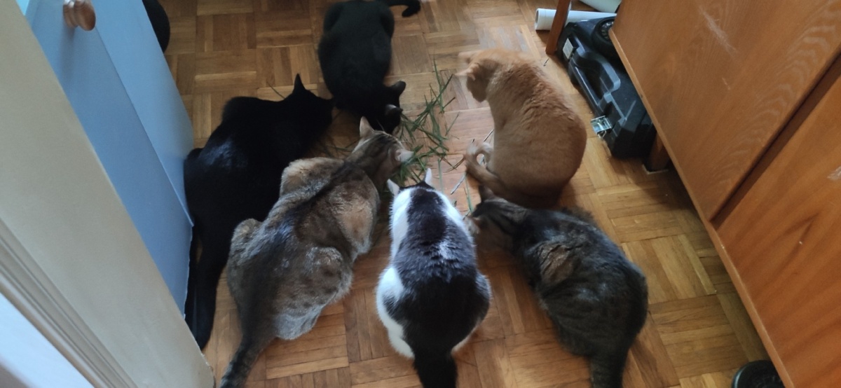 8add5ed8-ae96-4c47-9170-d1c0164bb801