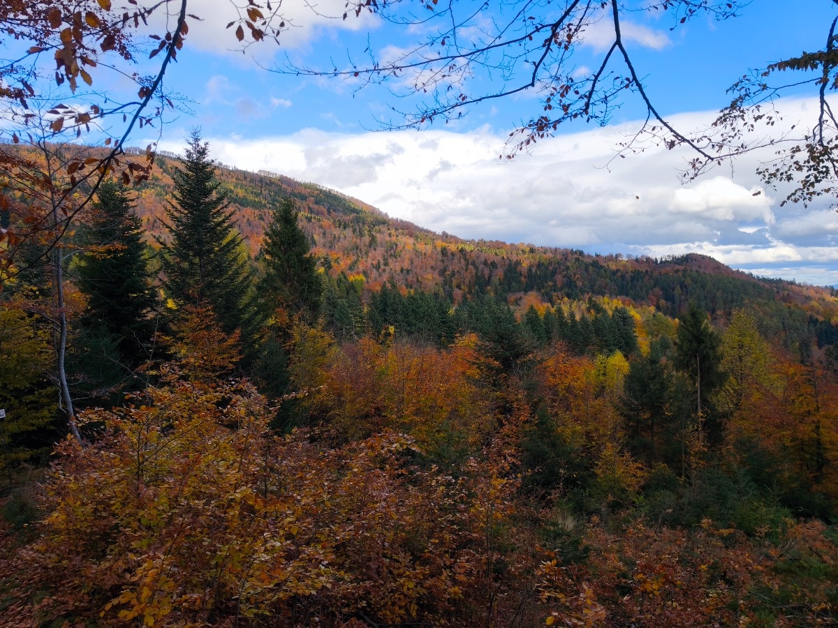 e890a4c2-d8a6-49ac-a55c-0478cc2cd351