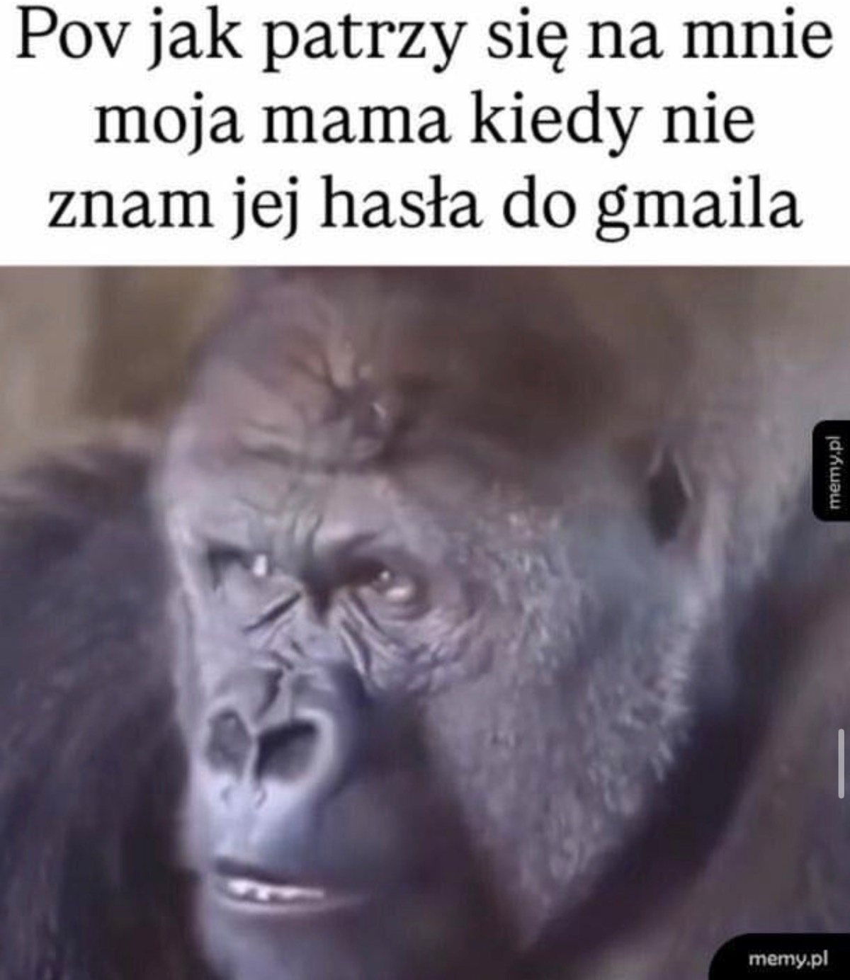 a6ba7886-0af0-409f-822c-dc3c6fa6e994