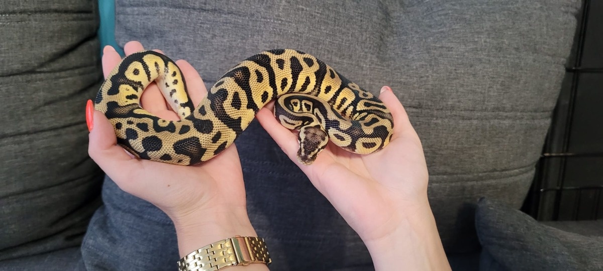 27f6ec09-b0b9-4da8-9d7a-330fbfe49b27