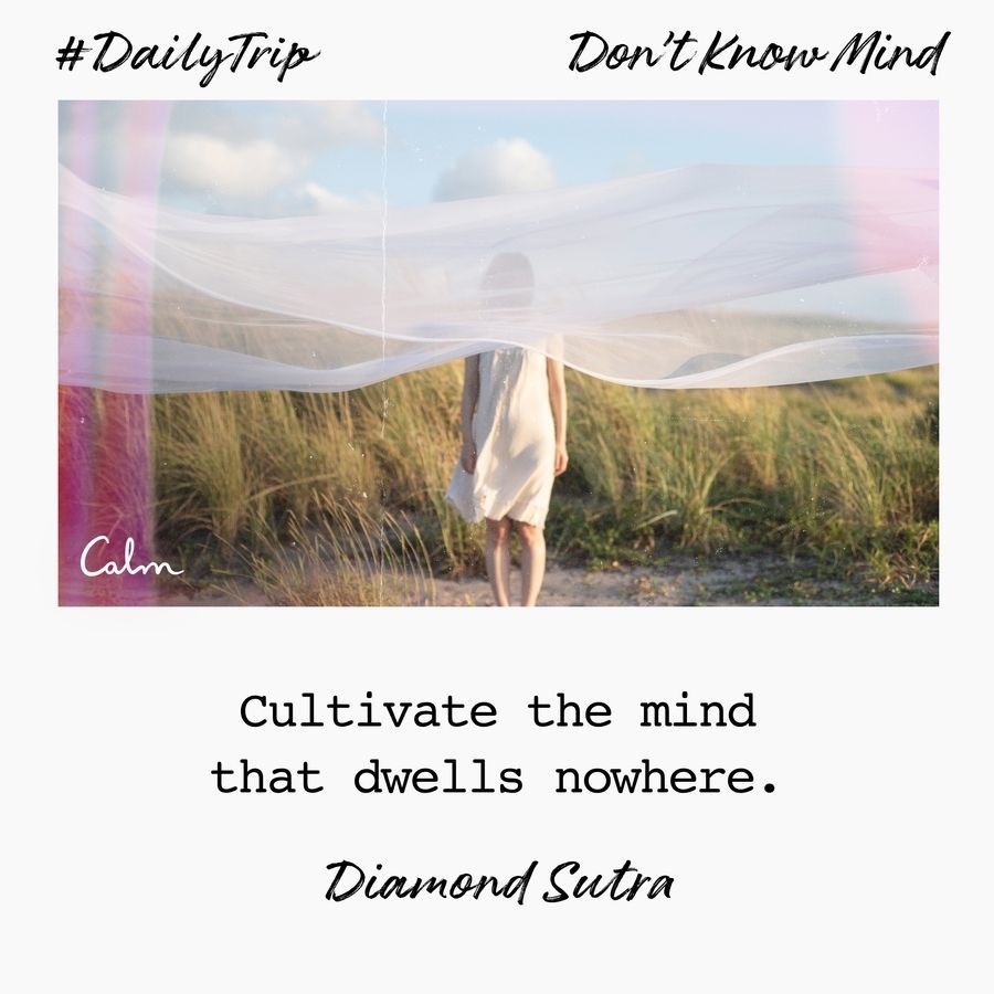 92d6072f-b9da-4fe1-9e71-13c405428938