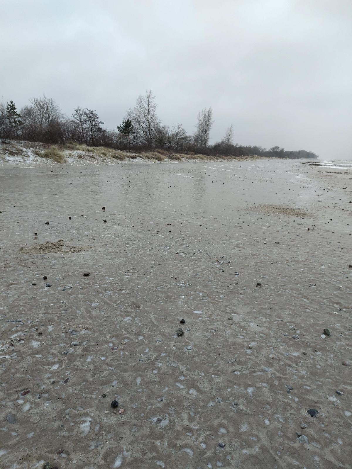 6c6b21ad-e0b9-4ca2-938d-ee93ea0cd7bd