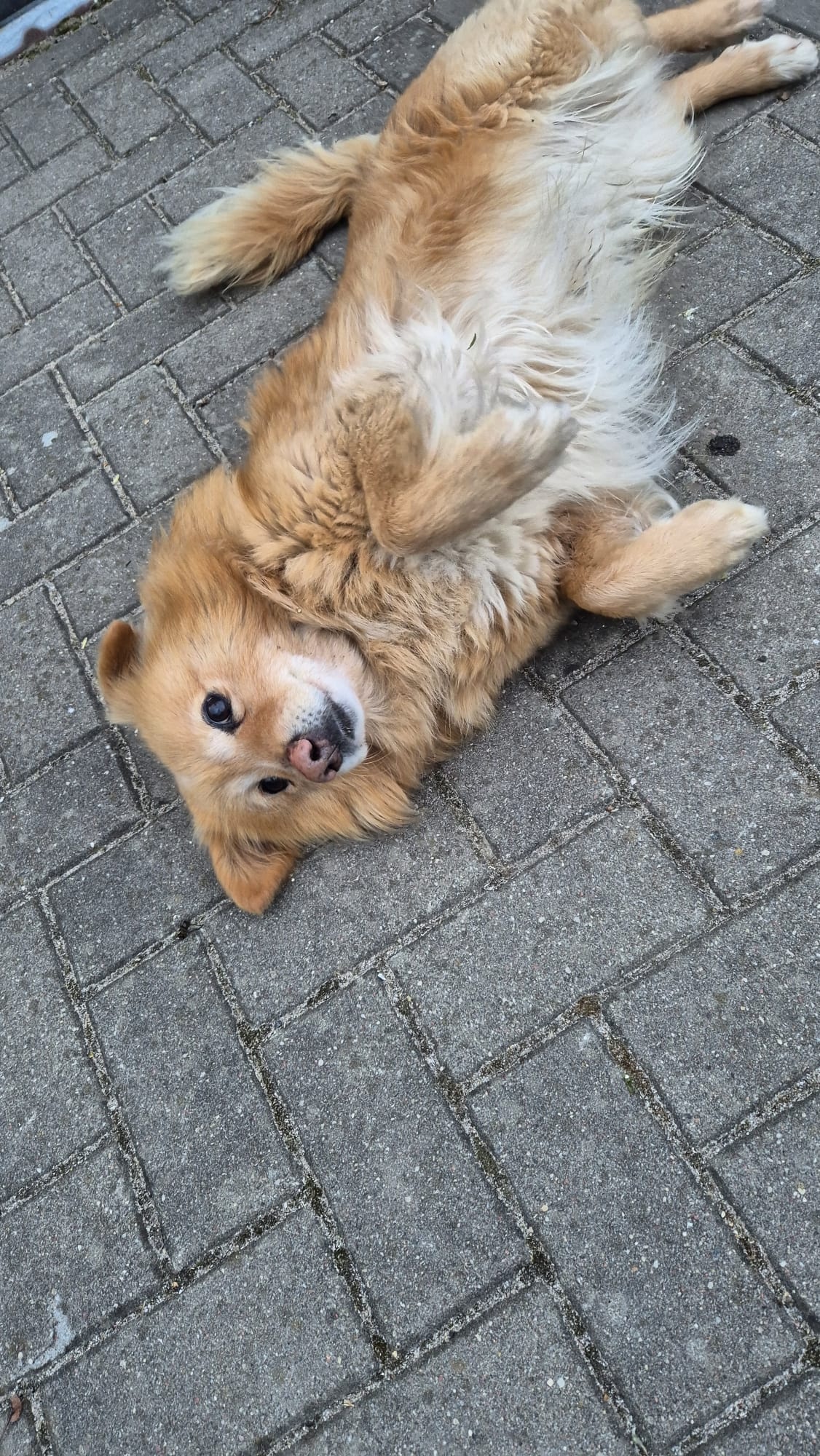 65b524db-45b8-4e64-b281-f5f2d77dd3c6