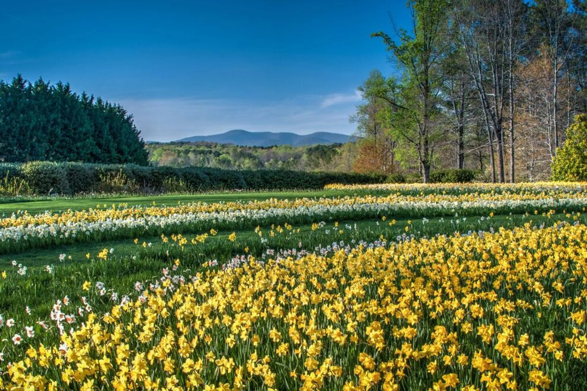 a8c143f6-2924-4d82-81f7-4f2bf4605bd0