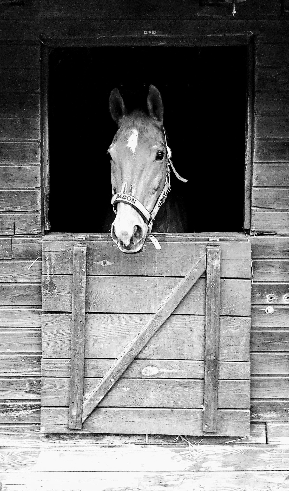 b4e56c41-a5ee-427e-9c92-d9f1536f1ab6