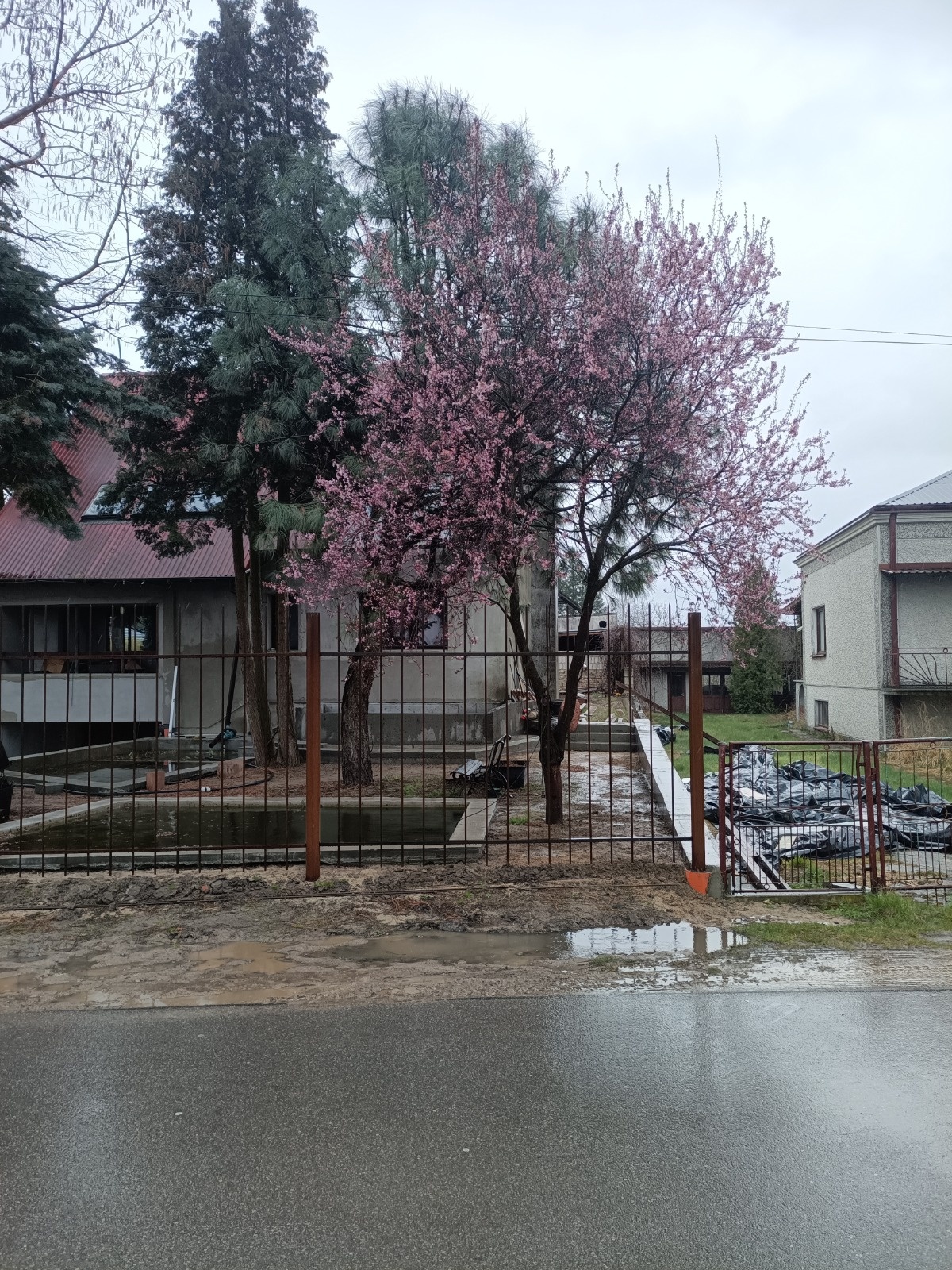 7796c59d-6e73-475e-bcd1-f5fa64ff0276