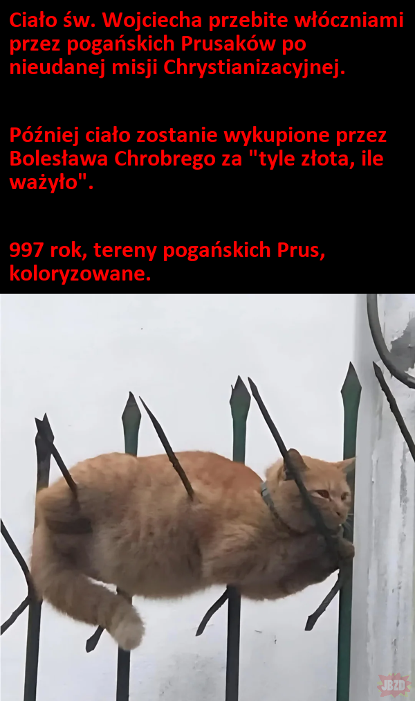 3c4f30c8-7ed8-479b-89a8-07664441f9d6