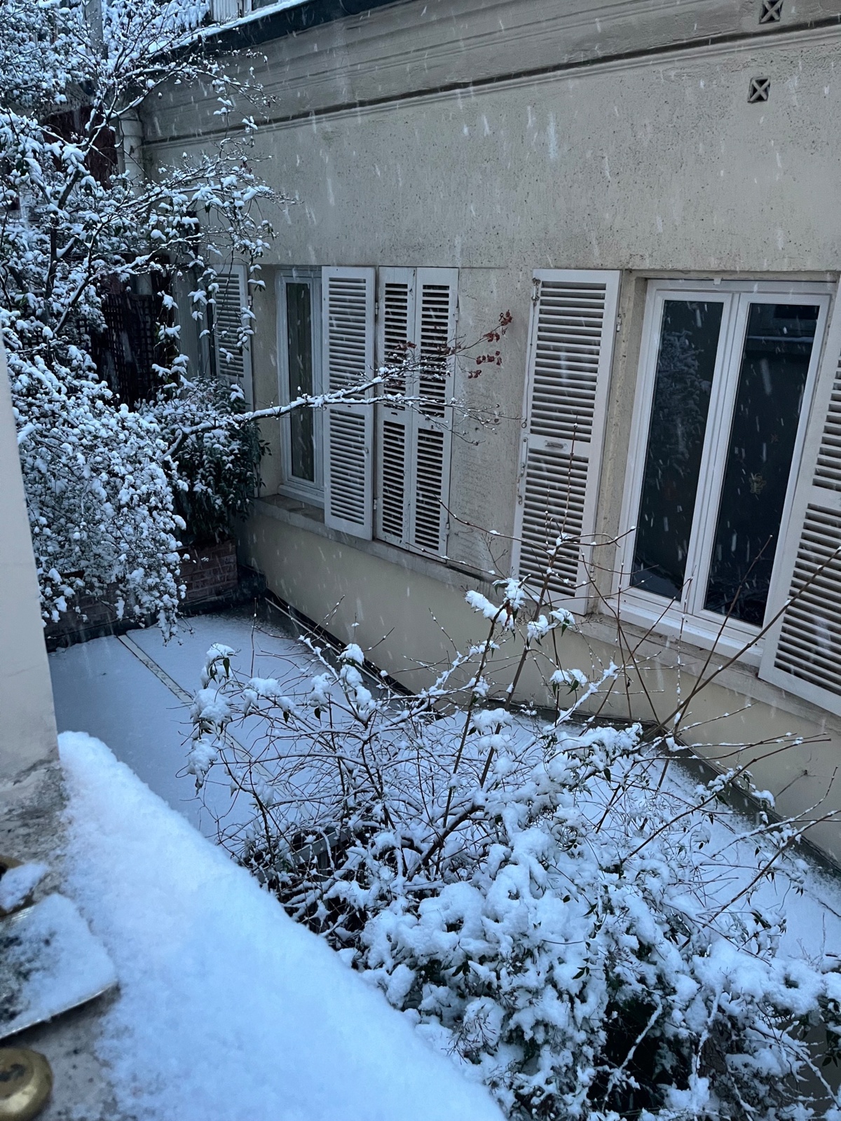 300a28ce-6cb6-419e-a977-951028251c50