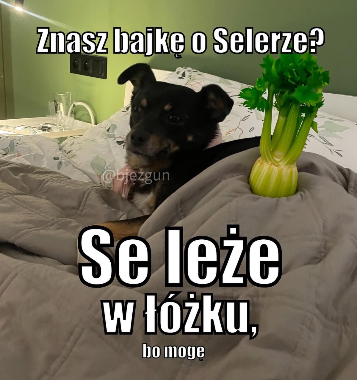 671bbefb-c532-4fb9-be05-925f566d7f24