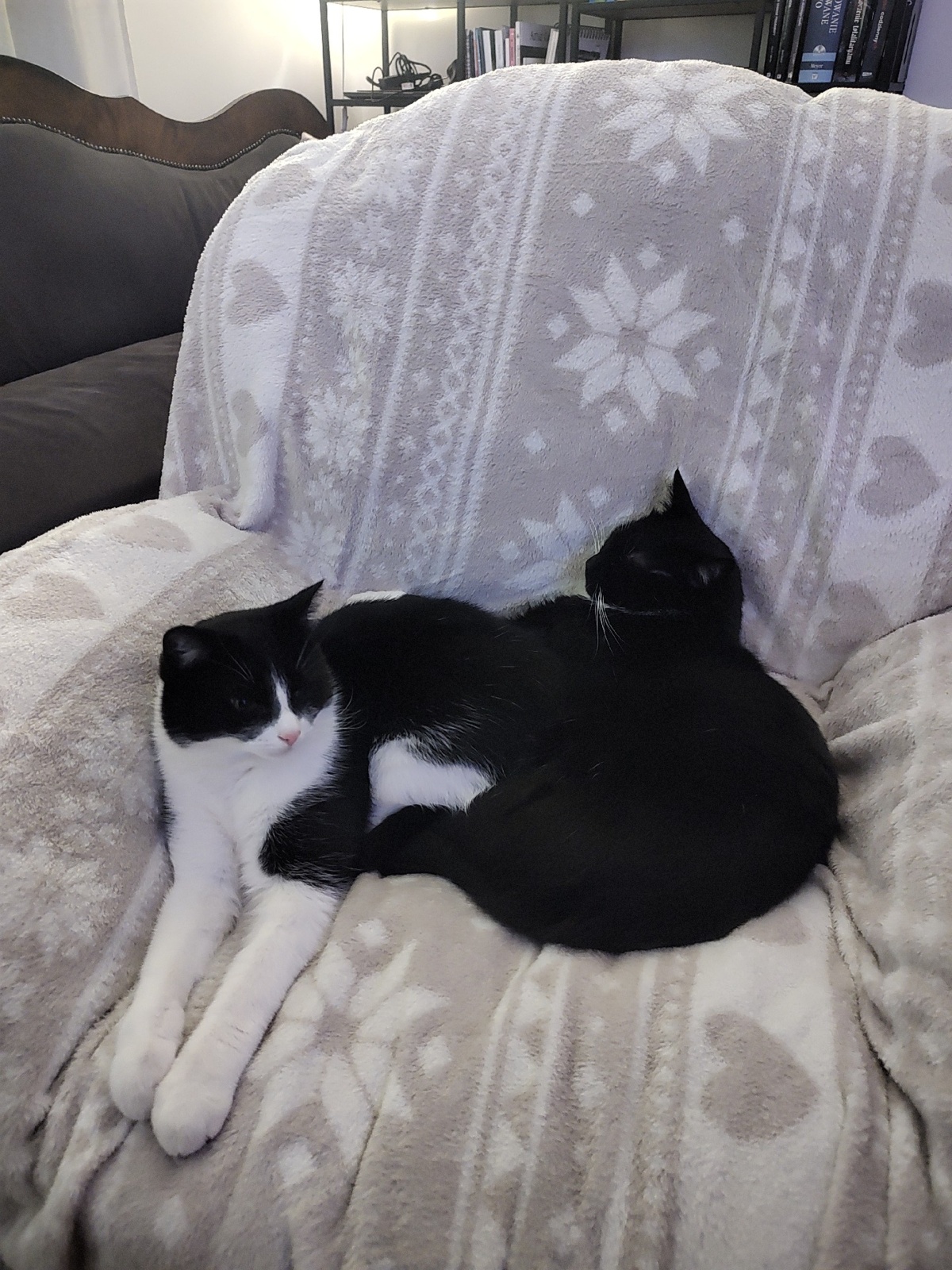 ba9b3944-687d-4d00-b5b4-60873daced92