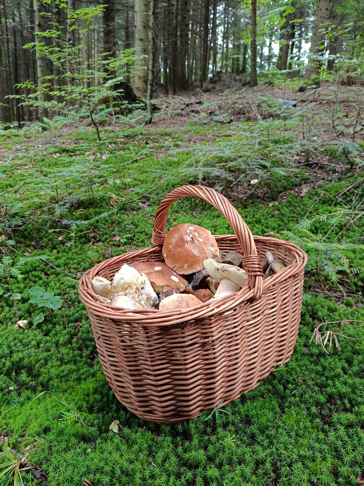 7a92fefd-763a-4c9d-a733-f41797d299b1