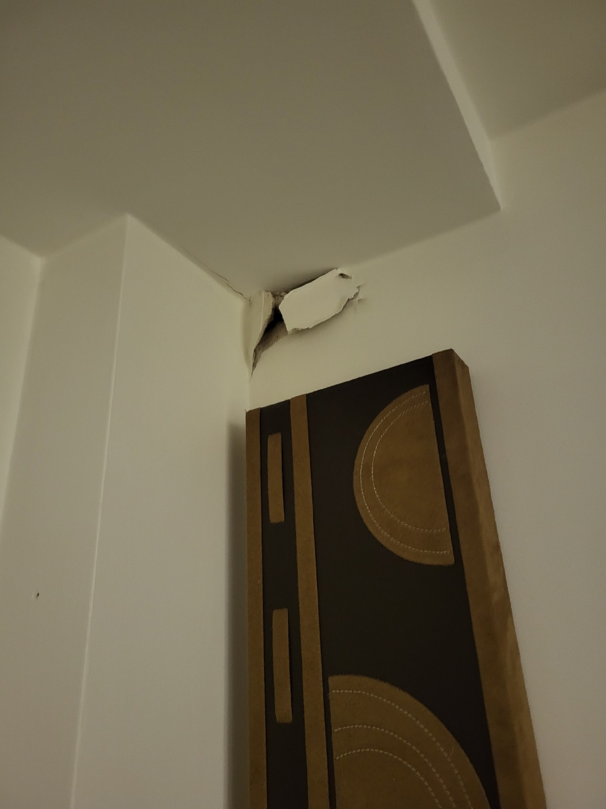 355538be-f862-4b42-b254-a3ef539719ad