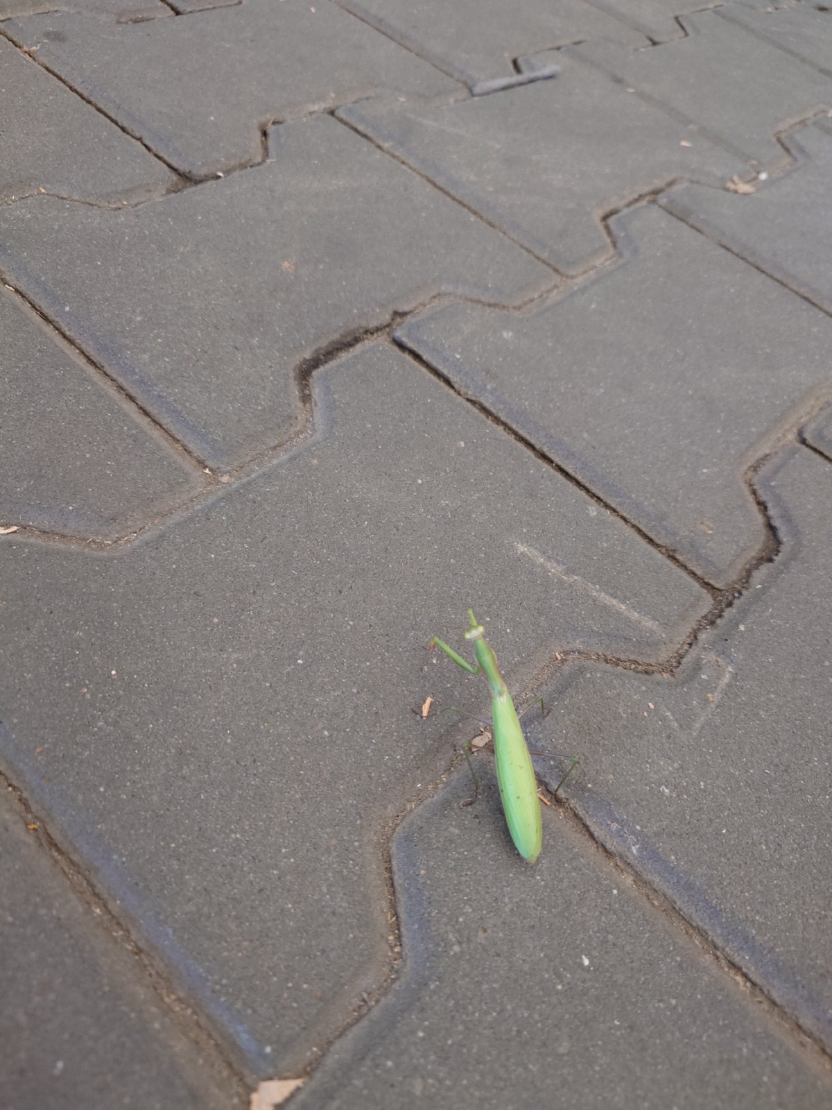 fd5b433a-853a-4645-b503-7cf688e81787