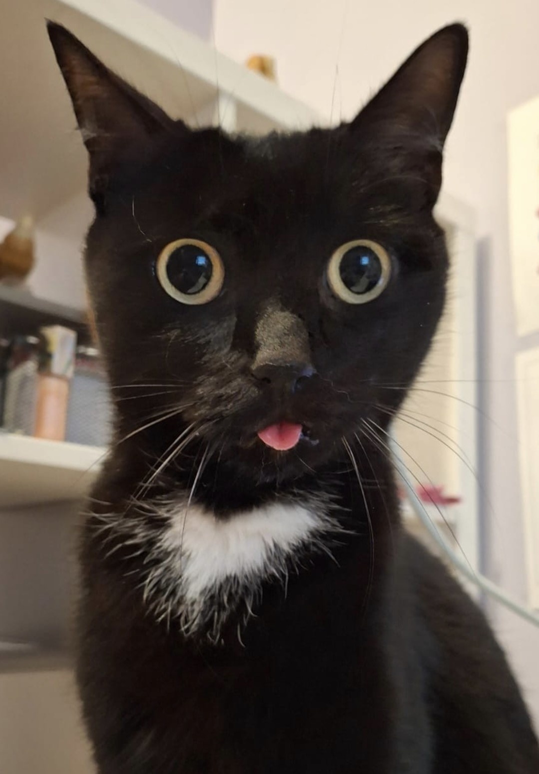 a7a54844-0094-47c1-88c9-a8e86dca8f97