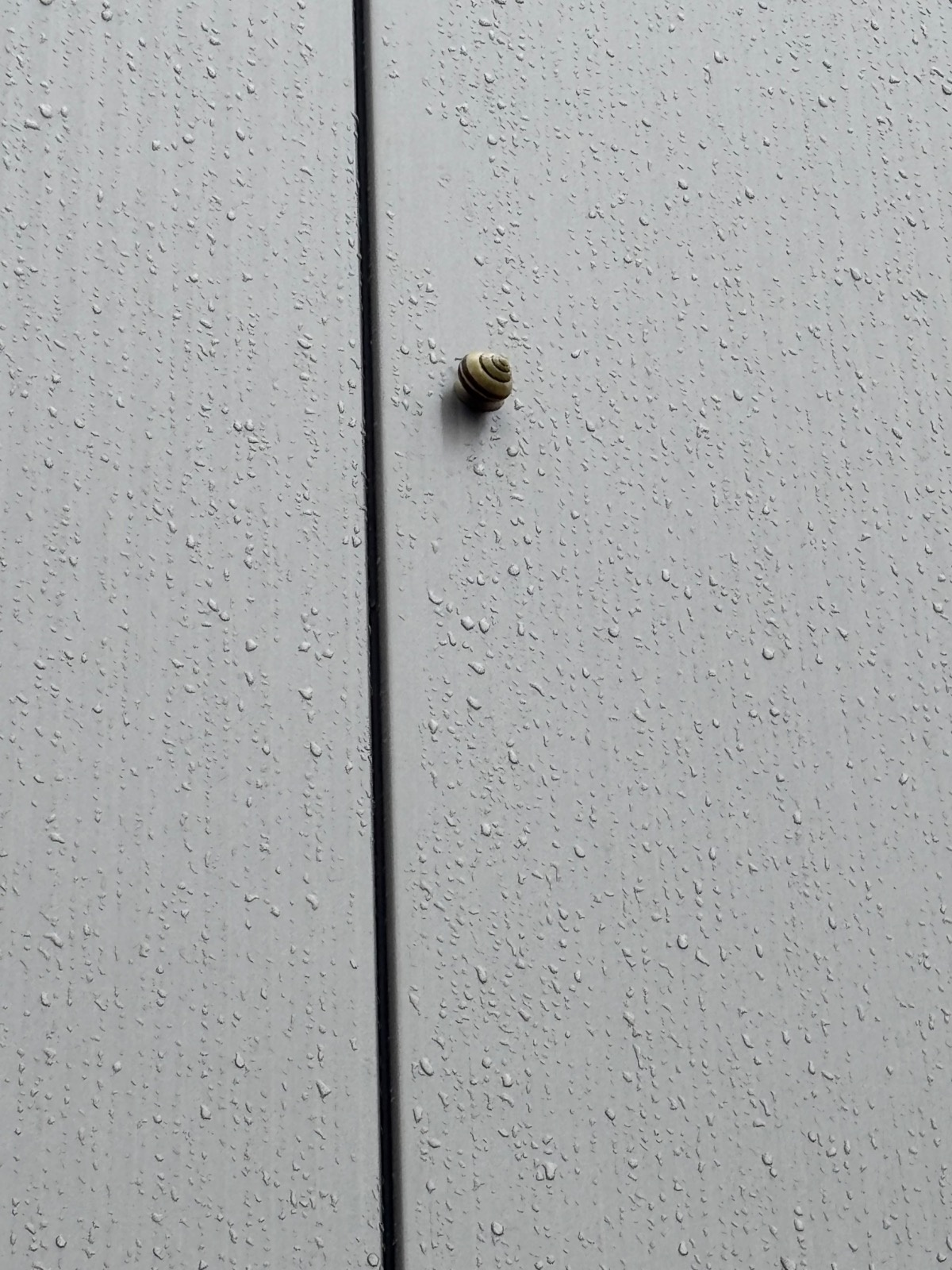 daa87c57-ff38-4748-8ed9-941184f59ae4