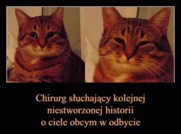 13fd1cab-60b3-4fe6-800a-bfbb250dfd0c