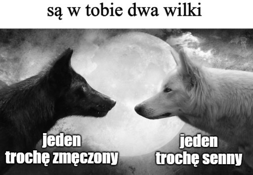 a88e3263-b4c5-4f57-8ac6-f9c4d135a423