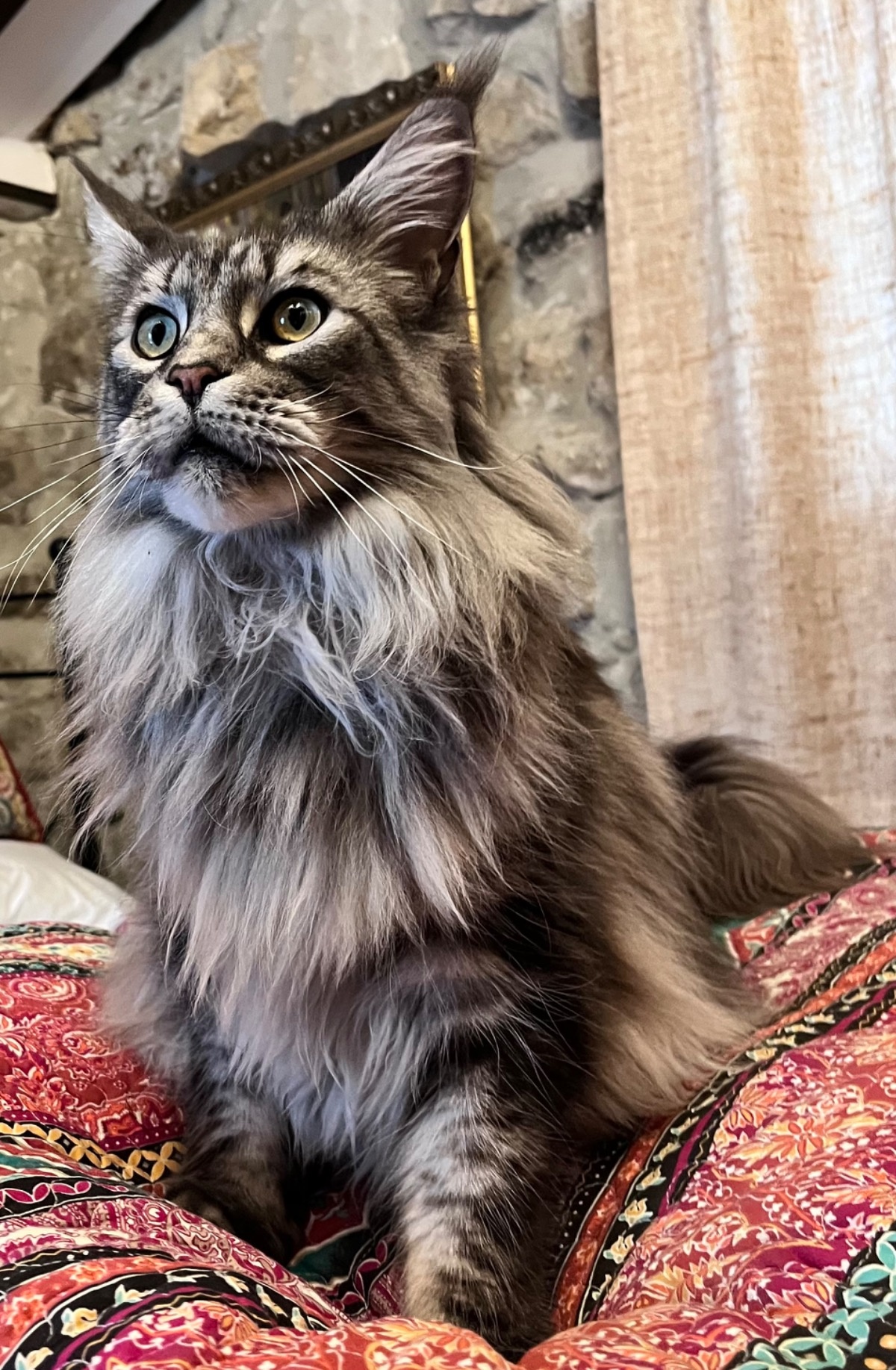 7fe0c716-ab1f-4764-b5fd-80d39b2ae25e