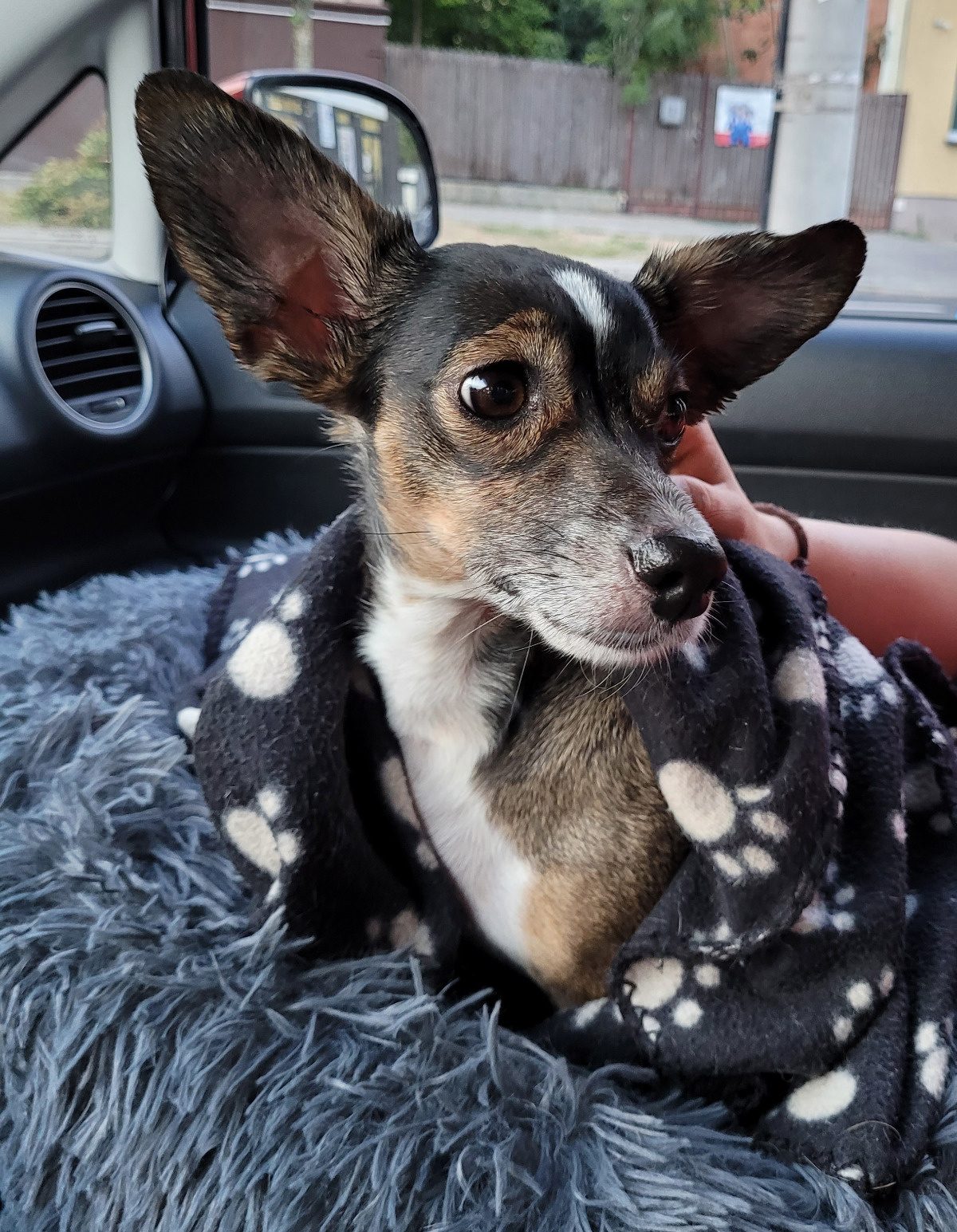 8b08e284-8ff2-4ae8-9c24-551b94b0ec9a