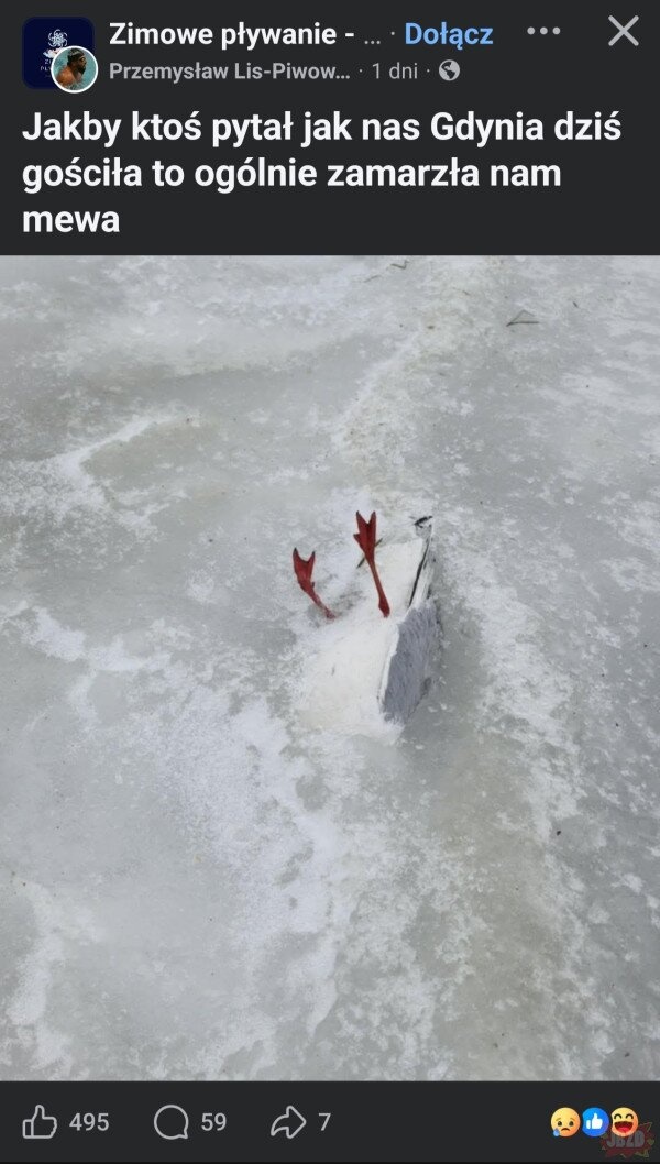 70720864-8097-405e-9002-4170dc586719