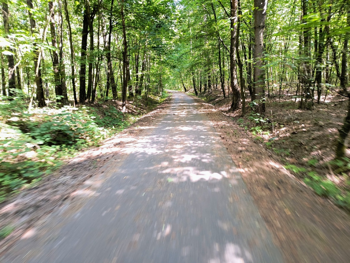 289b54f2-4bc7-4a1d-ad58-1d69f1a89a3e